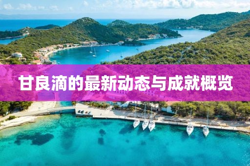 甘良滴的最新动态与成就概览