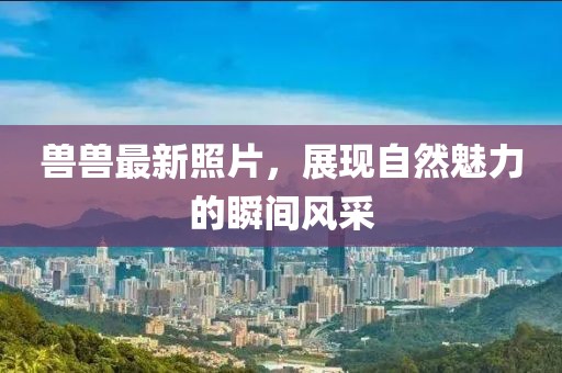 兽兽最新照片，展现自然魅力的瞬间风采