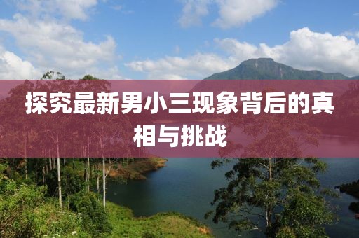 探究最新男小三现象背后的真相与挑战