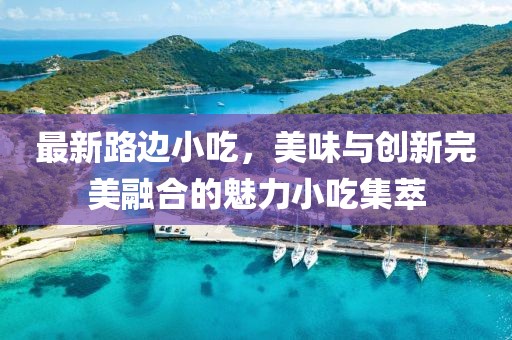 最新路边小吃，美味与创新完美融合的魅力小吃集萃