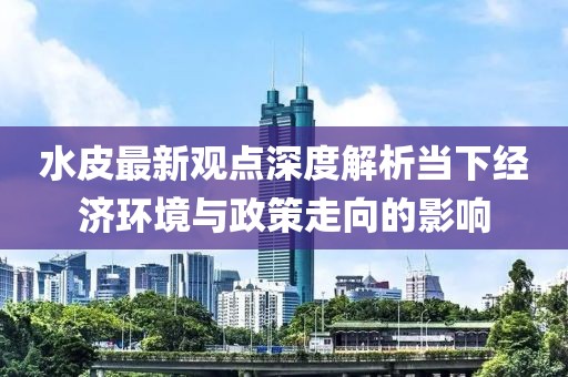 水皮最新观点深度解析当下经济环境与政策走向的影响