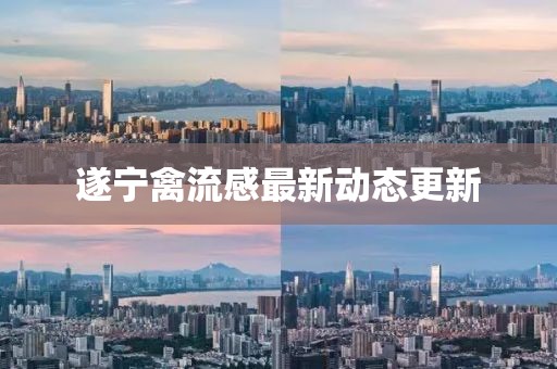 遂宁禽流感最新动态更新