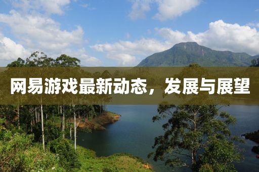 网易游戏最新动态，发展与展望