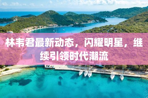 林韦君最新动态，闪耀明星，继续引领时代潮流