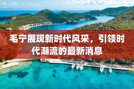 毛宁展现新时代风采，引领时代潮流的最新消息