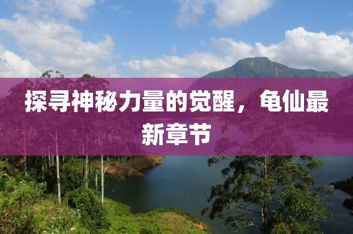 探寻神秘力量的觉醒，龟仙最新章节