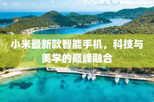 2025年4月6日 第10页