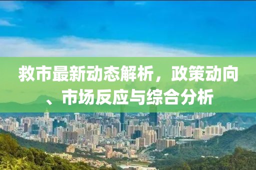 救市最新动态解析，政策动向、市场反应与综合分析