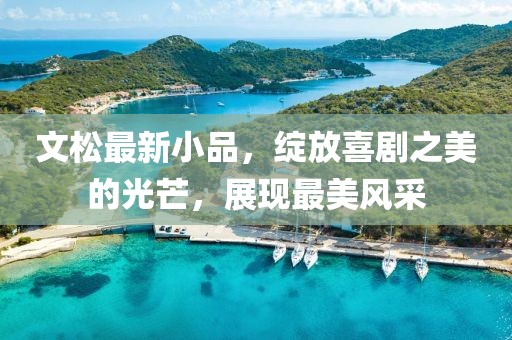 文松最新小品，绽放喜剧之美的光芒，展现最美风采