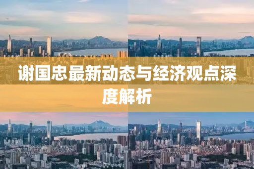 谢国忠最新动态与经济观点深度解析