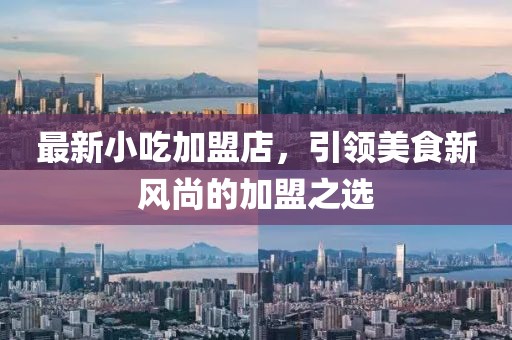最新小吃加盟店，引领美食新风尚的加盟之选