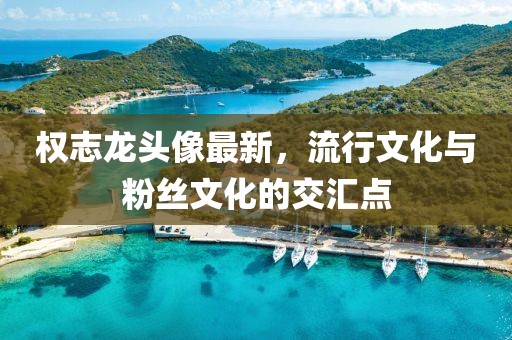 权志龙头像最新，流行文化与粉丝文化的交汇点