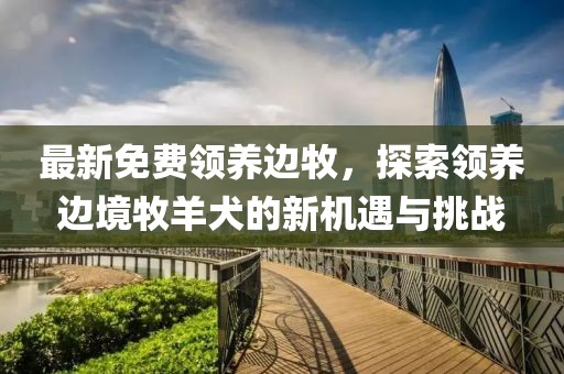 最新免费领养边牧，探索领养边境牧羊犬的新机遇与挑战