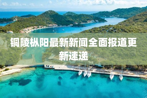 铜陵枞阳最新新闻全面报道更新速递