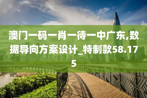 澳门一码一肖一待一中广东,数据导向方案设计_特制款58.175
