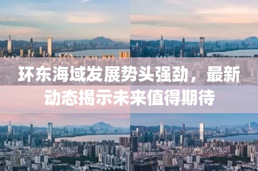 环东海域发展势头强劲，最新动态揭示未来值得期待