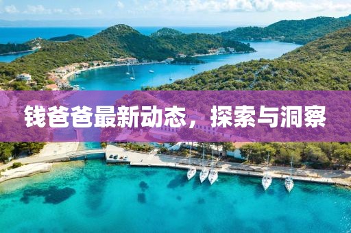 钱爸爸最新动态，探索与洞察