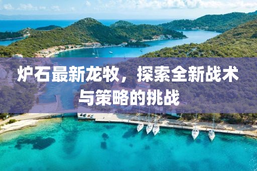 炉石最新龙牧，探索全新战术与策略的挑战