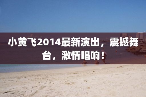小黄飞2014最新演出，震撼舞台，激情唱响！