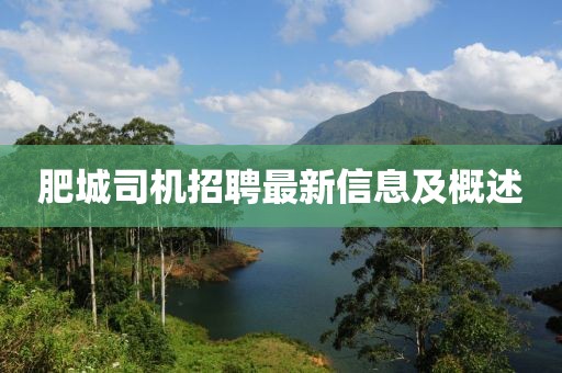 2025年4月9日 第3页