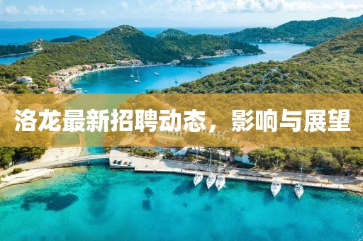洛龙最新招聘动态，影响与展望