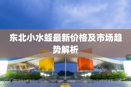 东北小水蛭最新价格及市场趋势解析
