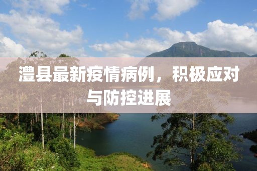 澧县最新疫情病例，积极应对与防控进展