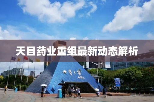 天目药业重组最新动态解析