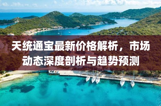 天统通宝最新价格解析，市场动态深度剖析与趋势预测