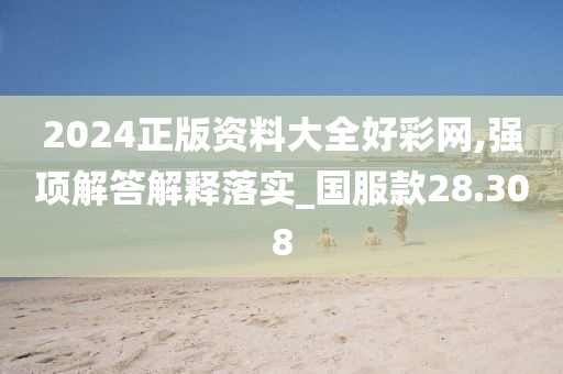 2024正版资料大全好彩网,强项解答解释落实_国服款28.308