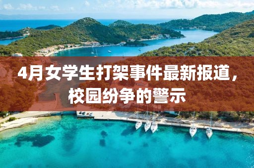 4月女学生打架事件最新报道，校园纷争的警示