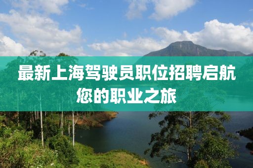 最新上海驾驶员职位招聘启航您的职业之旅
