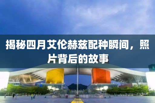 2025年4月15日 第9页