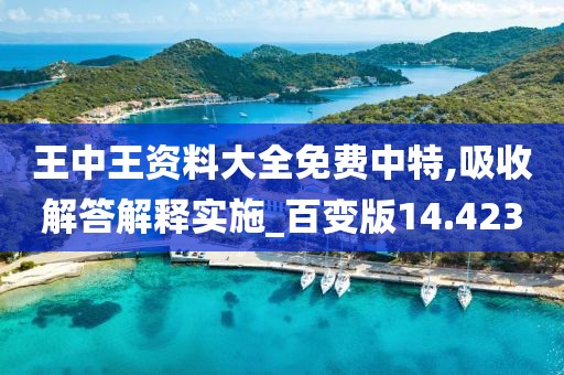 王中王资料大全免费中特,吸收解答解释实施_百变版14.423