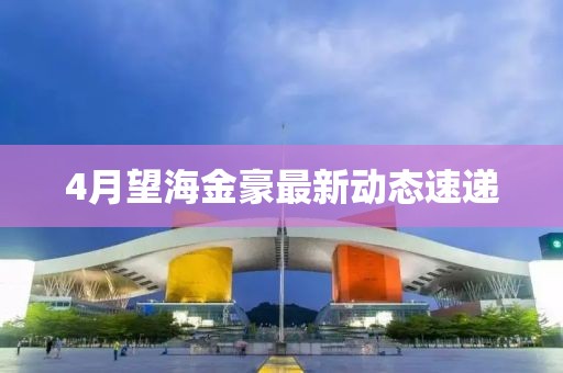 4月望海金豪最新动态速递
