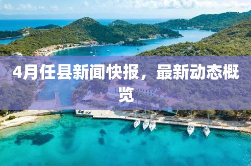 4月任县新闻快报，最新动态概览