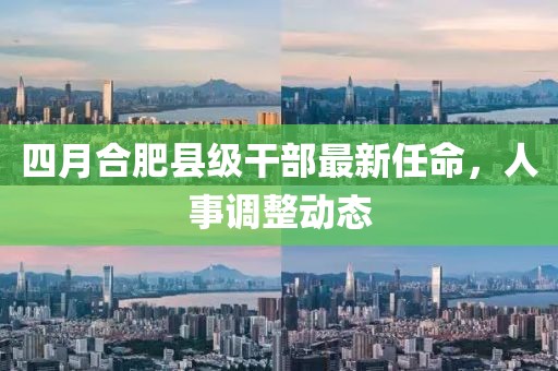 四月合肥县级干部最新任命，人事调整动态