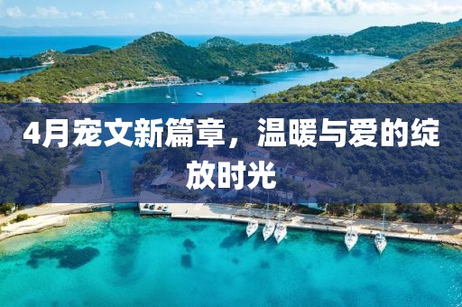 4月宠文新篇章，温暖与爱的绽放时光