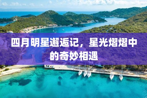 四月明星邂逅记，星光熠熠中的奇妙相遇