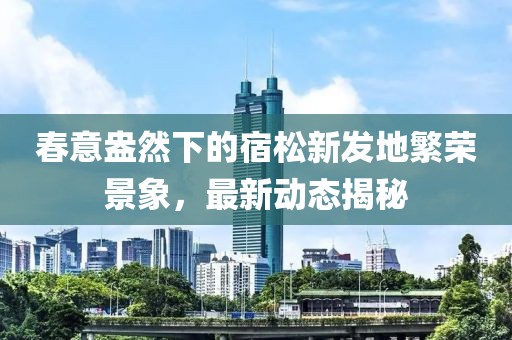 2025年4月17日 第5页
