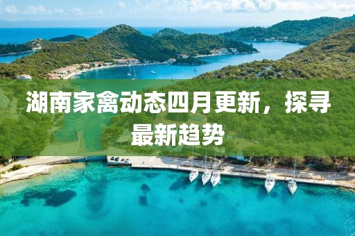 湖南家禽动态四月更新，探寻最新趋势