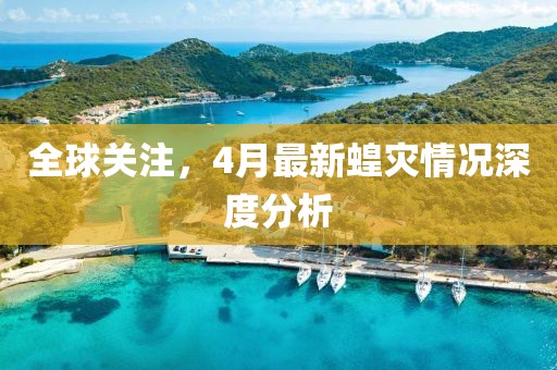 全球关注，4月最新蝗灾情况深度分析