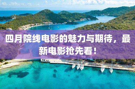 2025年4月19日 第6页