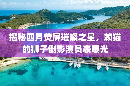 揭秘四月荧屏璀璨之星，赖猫的狮子倒影演员表曝光