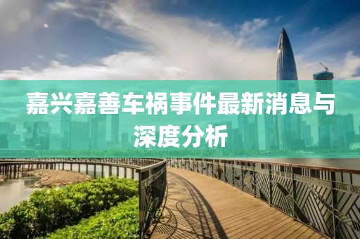 嘉兴嘉善车祸事件最新消息与深度分析