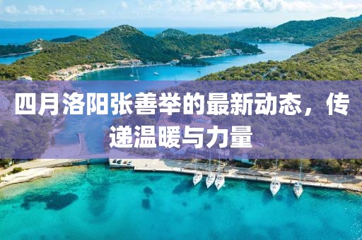四月洛阳张善举的最新动态，传递温暖与力量
