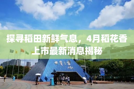探寻稻田新鲜气息，4月稻花香上市最新消息揭秘