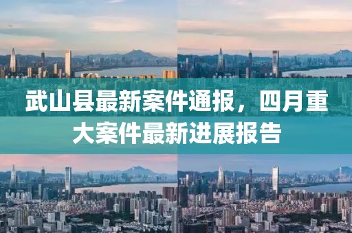 武山县最新案件通报，四月重大案件最新进展报告
