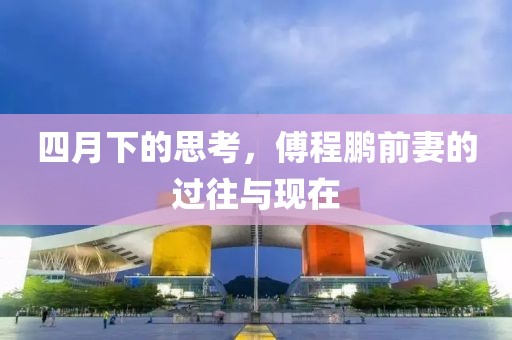 四月下的思考，傅程鹏前妻的过往与现在