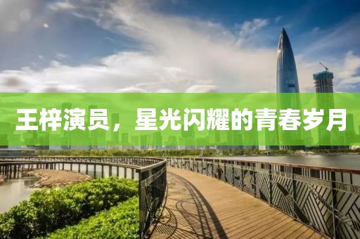 王梓演员，星光闪耀的青春岁月